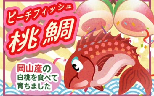 桃鯛 お刺身セット 半身分【配達不可：離島】