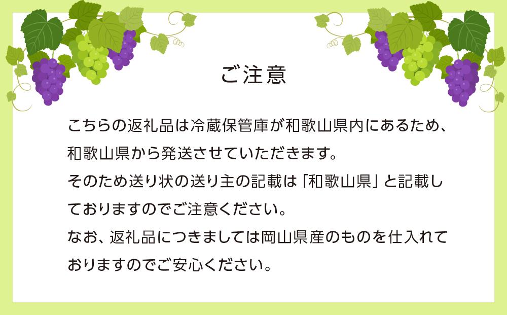 ぶどう［2025年］晴王 シャインマスカット 3房～6房（2kg以上）岡山県産