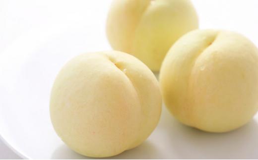 【定期便】 2025年 フルーツ  岡山の旬な果物  白桃（早生、中生種）約2kg 6~9玉/シャインマスカット 大房1房 約800g 贈答用 岡山市産 果物 ギフト 横木農園