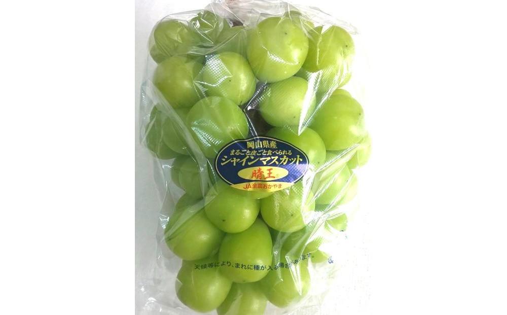 2025年  岡山県産フルーツ詰め合わせ（シャインマスカット1房、桃2個入）