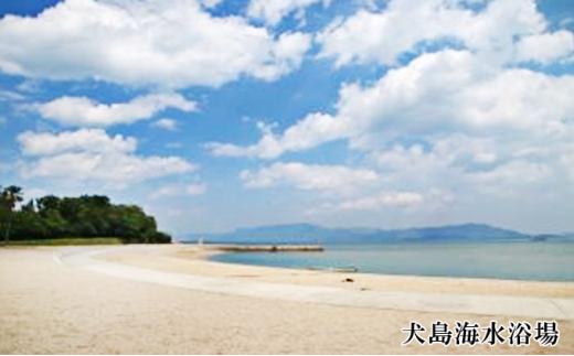 アートで再生した近代産業遺産の島「犬島」観光 タクシーご利用6時間コース