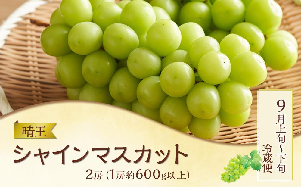 【2回 定期便】フルーツ 肉 2026年  晴れの国 おかやま の 旬のフルーツと A5等級 黒毛 和牛 2回 定期便 ぶどう 牛肉  岡山県産 国産 ギフト