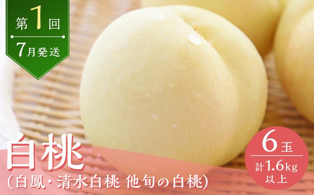 桃 2026年  岡山の旬の桃 定期便 3回コース もも モモ 岡山県産 国産 果物 ギフト