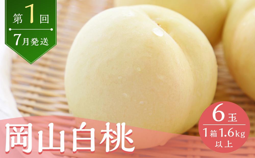 フルーツ 2026年  岡山 白桃 6玉 シャイン マスカット 晴王 2房 を2回に分けてお届け！ 定期便 桃 ぶどう 梨 岡山県産 国産 果物 ギフト