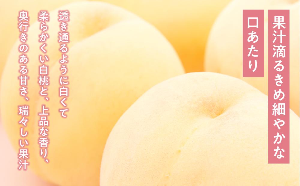 桃 ぶどう 2026年  白桃 2玉（1玉200g以上） シャイン マスカット 『晴王』2房（合計約940g）詰合せ もも 葡萄 岡山県産 国産 フルーツ 果物 ギフト