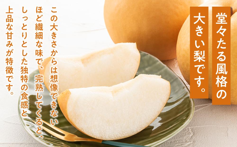 梨 2026年  あたご梨 2玉（1玉約750g）合計約1.5kg なし ナシ 岡山県産 国産 フルーツ 果物 ギフト