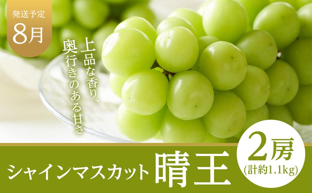 フルーツ 定期便 2026年  晴れの国 岡山県産 旬のフルーツ定期便 3回コース 葡萄 ぶどう 岡山県産 国産 セット ギフト