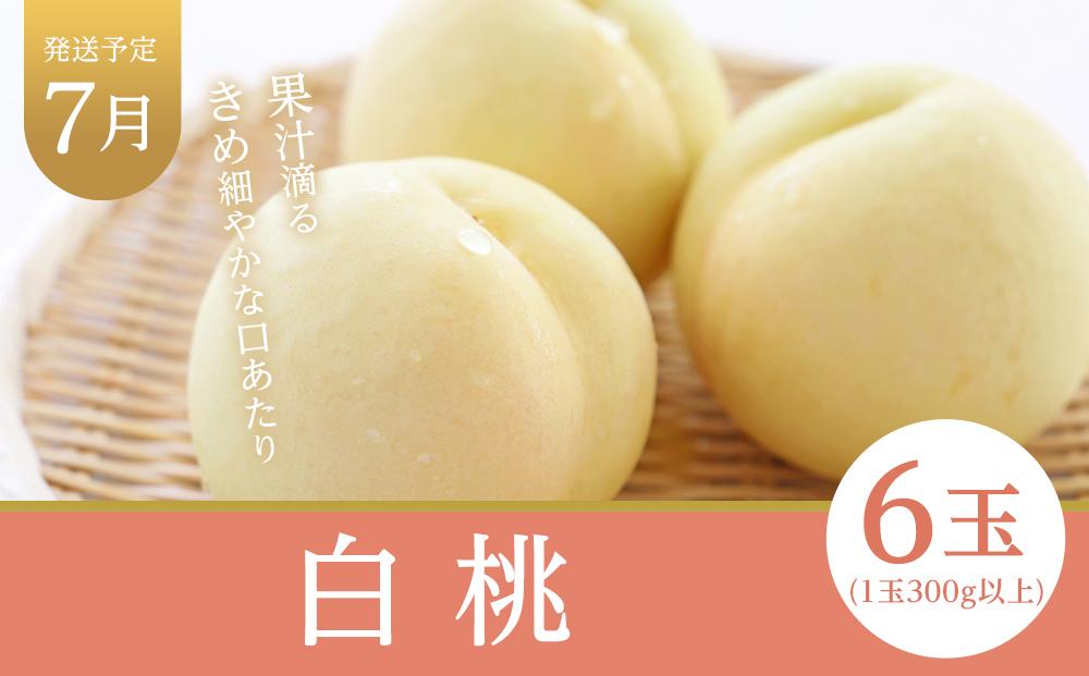 フルーツ 定期便 2026年  晴れの国 岡山県産 旬のフルーツ定期便 6回コース 桃 もも 葡萄 ぶどう 梨 なし 岡山県産 国産 セット ギフト