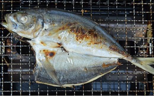 瀬戸内海 干物セット（真鯛、真鯵、さわら）【配達不可：離島】