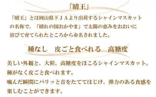 ぶどう 2026年  ご家庭用 シャイン マスカット 晴王 約400g×2房 ブドウ 葡萄  岡山県産 国産 フルーツ 果物
