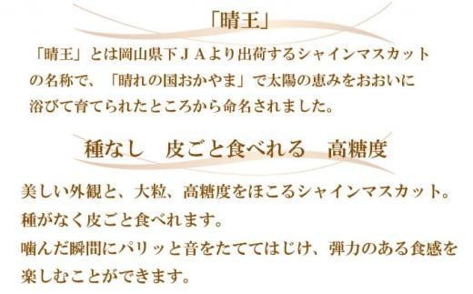 ぶどう 2026年  ご家庭用 シャイン マスカット 晴王 約600g×1房 ブドウ 葡萄  岡山県産 国産 フルーツ 果物
