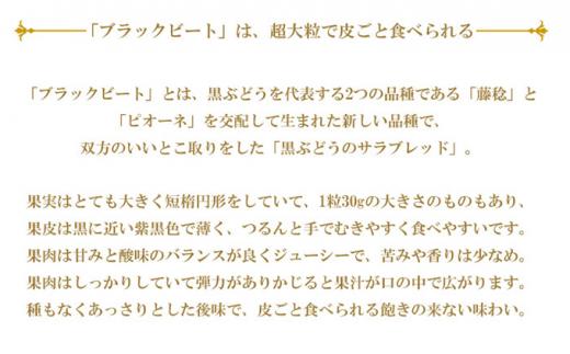 ぶどう 2026年 ブラックビート 約400g×2房 ブドウ 葡萄  岡山県産 国産 フルーツ 果物 ギフト