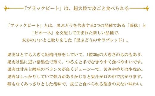 ぶどう 2026年 ブラックビート 約2kg 3房～6房 ブドウ 葡萄  岡山県産 国産 フルーツ 果物 ギフト