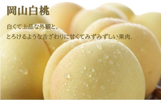 桃 ぶどう 2026年 岡山 白桃 エース 2玉×約300g（3Lサイズ、早生種・中生種）ニュー ピオーネ 1房約600g 詰め合わせ 岡山県産 フルーツ