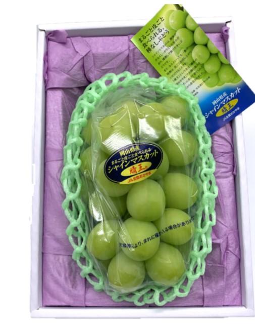 2026年  岡山県産　シャインマスカット『晴王』1房(800g以上) 化粧箱入り