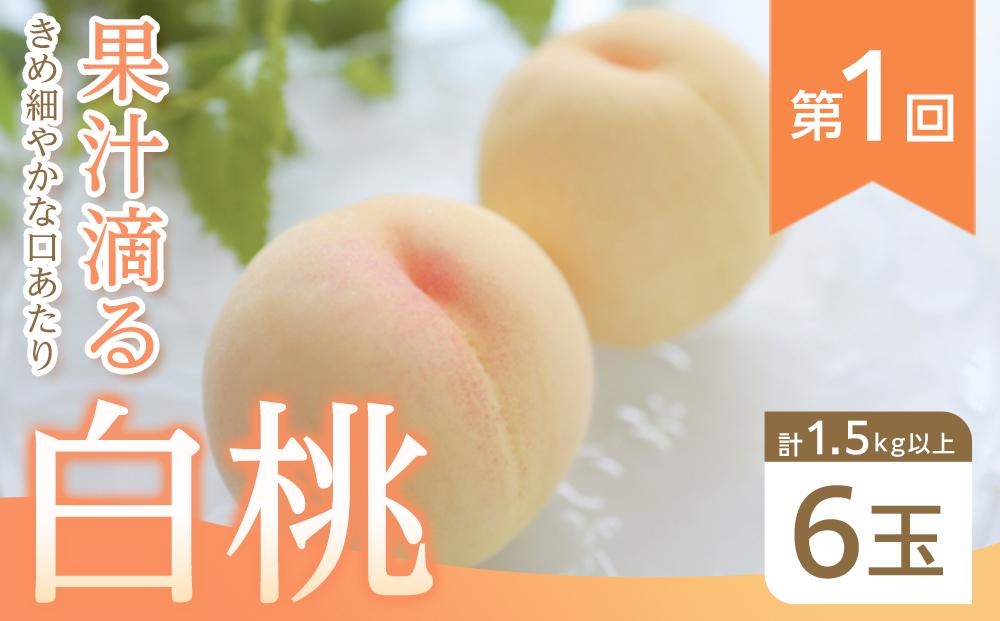 【全3回コース】2026年  岡山県産　旬のフルーツ定期便