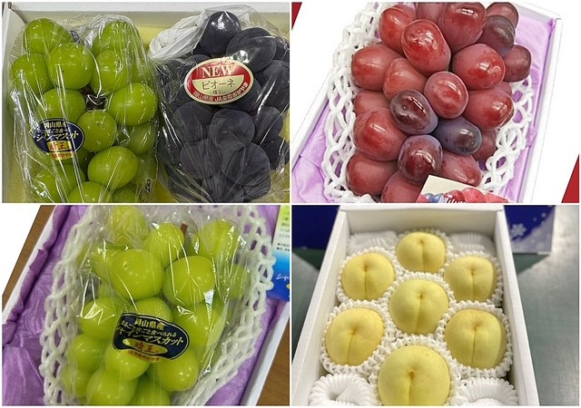 フルーツ  2026年 岡山県産 定期便 4回コース（シャインマスカット・ニューピオーネ・岡山冬桃がたり等）