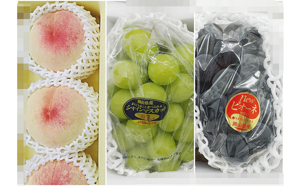 岡山県産 フルーツ定期便全３回＜お一人様向け＞