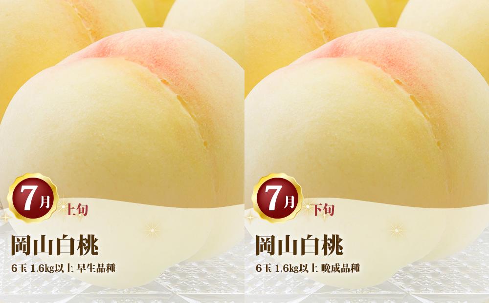 桃 定期便 2026年 岡山 の 白桃 6玉 合計1.6kg以上×2回 お届け 化粧箱入り もも モモ 岡山産 国産 フルーツ 果物 ギフト