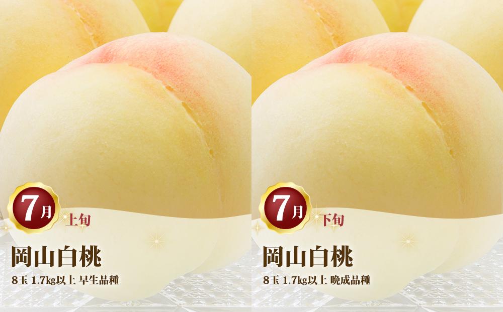 桃 定期便 2026年 岡山 の 白桃 8玉 合計1.7kg以上×2回 お届け 化粧箱入り もも モモ 岡山産 国産 フルーツ 果物 ギフト