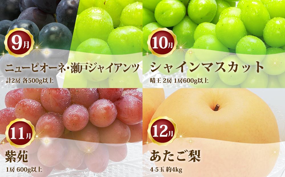 ぶどう 梨 定期便 2026年 フルーツ王国 岡山を堪能 4回コース 秋・冬物語 葡萄 ぶどう 梨 なし 岡山県産 国産 果物 セット ギフト