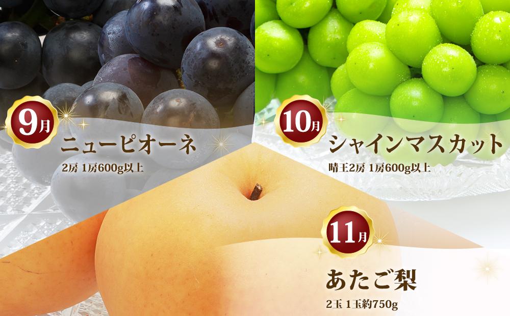 ぶどう 梨 定期便 2026年 フルーツ王国 岡山を堪能 定期便 3回コース 葡萄 ぶどう 梨 なし 岡山県産 国産 果物 セット ギフト
