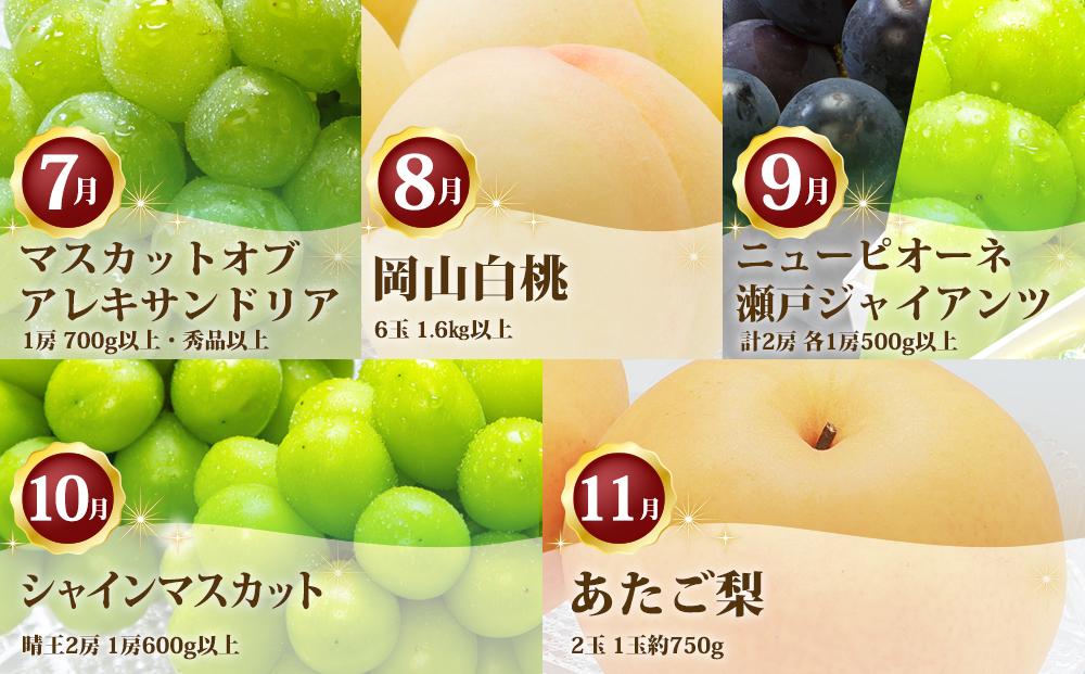 フルーツ 定期便 2026年 フルーツ王国 岡山の果物 5回コース 夏～冬物語 桃 もも 葡萄 ぶどう 梨 なし岡山県産 国産 果物 セット ギフト