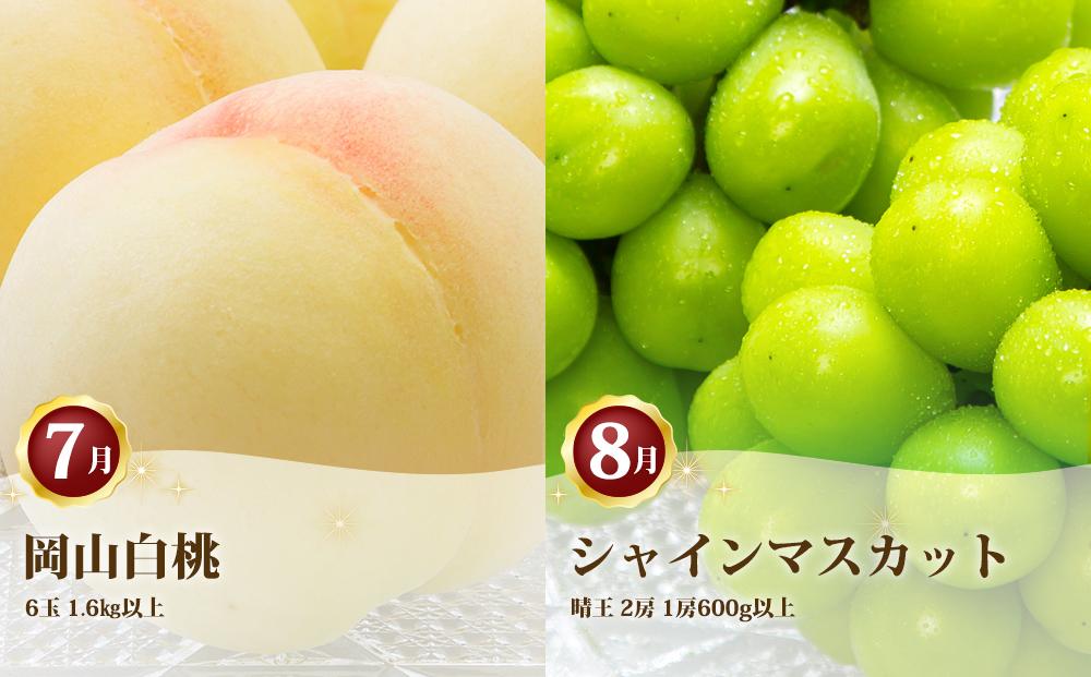 フルーツ 定期便 2026年 フルーツ王国 岡山 ベストセレクト 2回コース 桃 もも 葡萄 ぶどう マスカット 岡山県産 国産 果物 セット ギフト