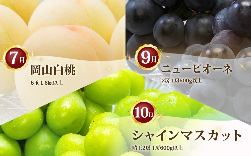 フルーツ 定期便 2026年 フルーツ王国 岡山 厳選 果物 （7月 9月 10月）3回コース 桃 もも 葡萄 ぶどう 岡山県産 国産 セット ギフト