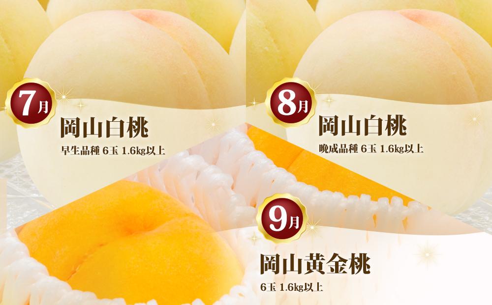 フルーツ 定期便 2026年 岡山 の 桃 食べ比べ 定期便 3回コース もも モモ 岡山県産 国産 フルーツ 果物 セット ギフト