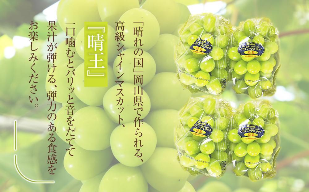 ぶどう 2026年 岡山県産 シャインマスカット『晴王』4房(1房480g以上)