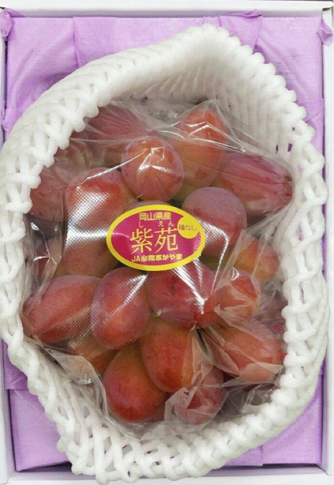 ぶどう 2026年 岡山県産 紫苑 1房(700ｇ以上) 化粧箱入り