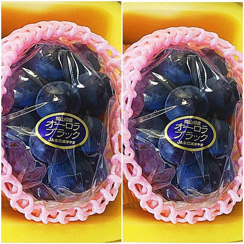 ぶどう 2026年 岡山県産 オーロラブラック2房(1房480g以上)　化粧箱入り