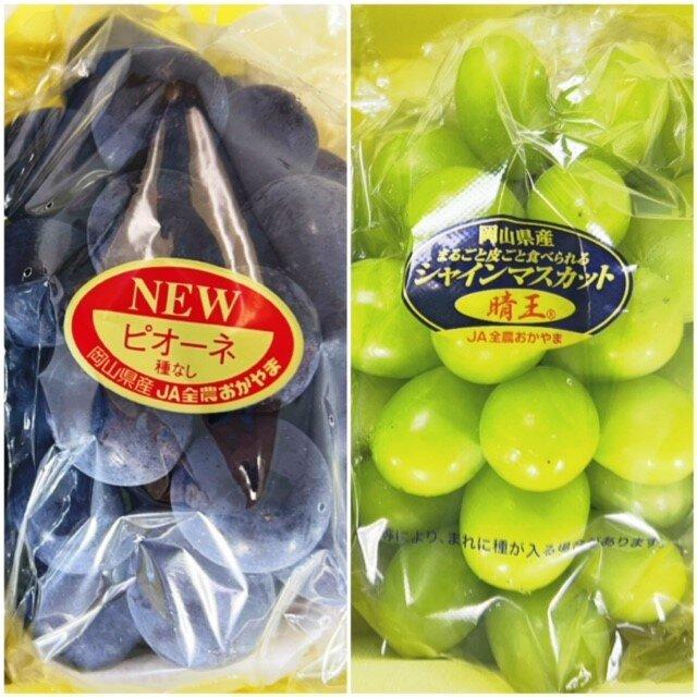 ぶどう 2026年 岡山県産 詰合/ニューピオーネ1房(480g以上)・シャインマスカット『晴王』1房(480g以上) 化粧箱入り