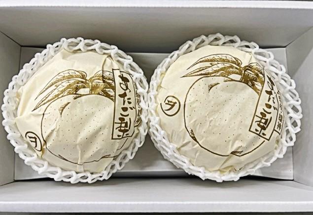 梨 2026年 岡山県産 あたご梨 2玉(約1.7ｋｇ） 化粧箱入り