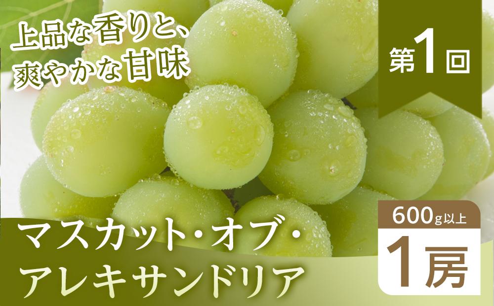 ぶどう 2026年【全3回コース】晴れの国岡山 ぶどうの定期便