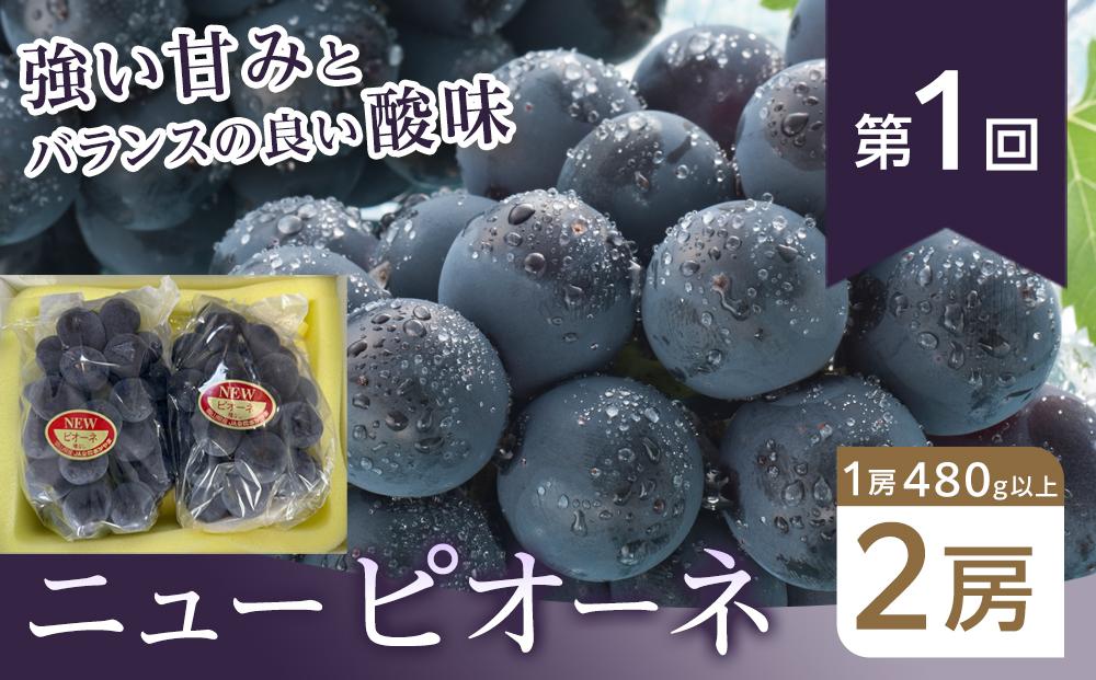 フルーツ 2026年【全4回コース】晴れの国岡山 フルーツ定期便