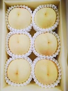 2026年 岡山県産 冬桃がたり6～9玉 約1.2kg 化粧箱入り