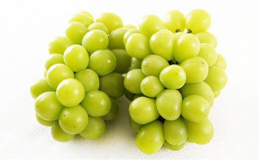 フルーツ 定期便 2026年 晴れの国 岡山 の フルーツ 定期便 4回コース 桃 ぶどう いちご 岡山県産 国産 フルーツ 果物 ギフト