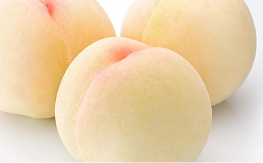 桃 ぶどう 2026年 果物詰合せ 白桃 2玉（1玉200g以上） ニュー ピオーネ 2房（合計約940g）化粧箱入り もも 葡萄 岡山県産 国産 フルーツ ギフト