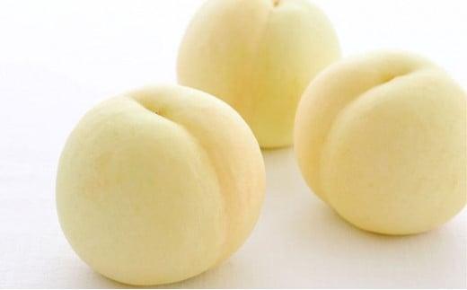 フルーツ 2026年 晴れの国 岡山 の フルーツ 定期便 3回コース 桃 ぶどう 梨 岡山県産 国産 フルーツ 果物 ギフト