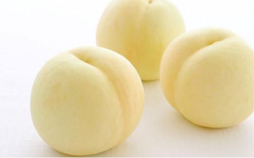 フルーツ 2026年 晴れの国 岡山 の フルーツ 定期便 2回コース 桃 ぶどう 岡山県産 国産 フルーツ 果物 ギフト