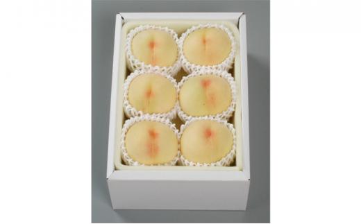 桃 2026年 清水 白桃 6玉（1玉250g以上） 等級： ロイヤル 化粧箱入り もも モモ 岡山県産 国産 フルーツ 果物 ギフト