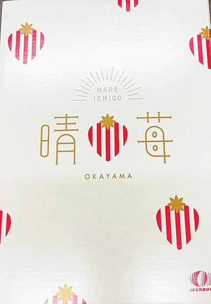 岡山市産 晴苺 9～18粒 約450g 化粧箱入り＜2025年12月中旬以降発送＞