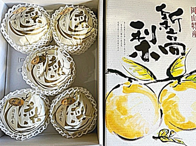 【2026年発送】岡山県産 新高梨 3～6玉 青秀以上 (計約4.0kg)化粧箱入り