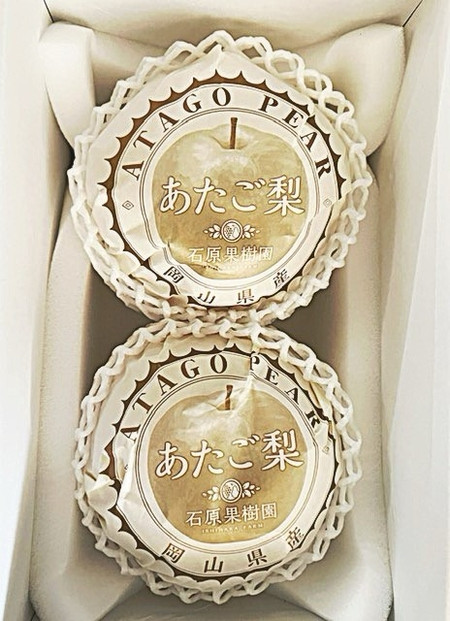 【2026年発送】岡山県産 あたご梨2玉 青秀以上 (計約1.4kg)化粧箱入り