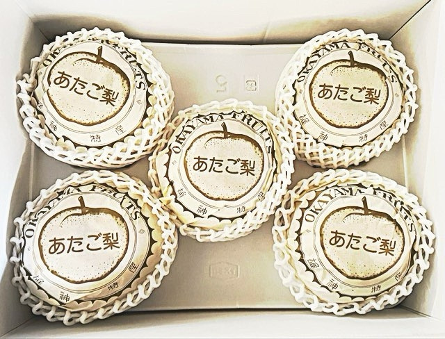 【2026年発送】岡山県産 あたご梨 3～6玉 青秀以上 (計約4.0kg)化粧箱入り
