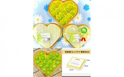 ぶどう 2026年  シャインマスカット 大粒 18粒 水晶ハートボックス入り 大粒のみ ギフト 贈り物 岡山 国産 果物 フルーツ シャイン マスカット