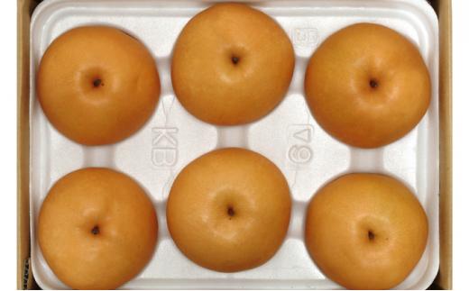 梨 2025年 岡山県産 新高梨 約3kg 4～6玉 お届け 10月中旬～11月中旬