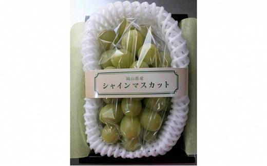 岡山のシャインマスカット1房（1kg以上）